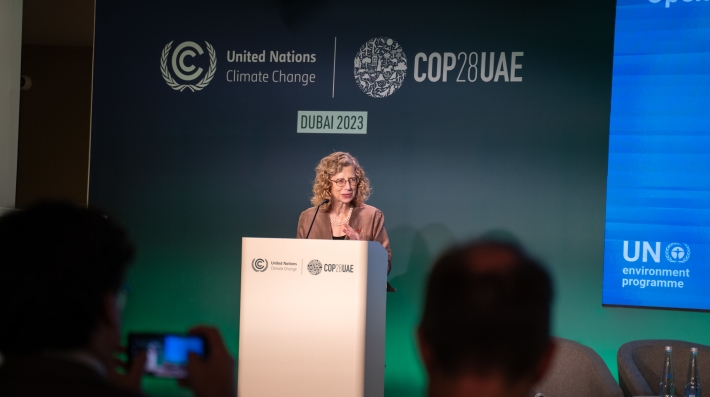 UNEP Executive Director Inger Andersen delivers a speech during the UN Climate Change Conference.