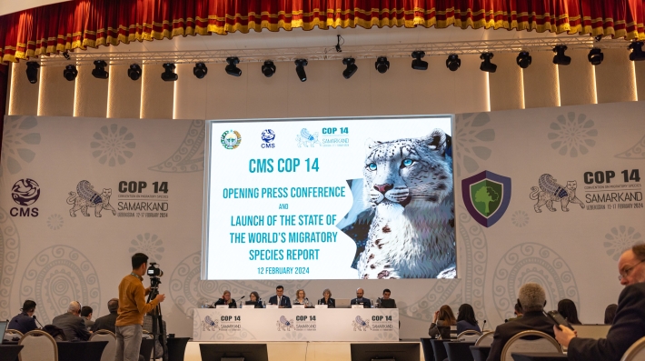 Convention on Migratory Species, COP 14