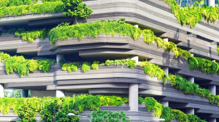 Grey concrete building covered in trees