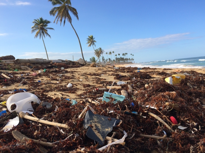 Beach littered with plastic waste