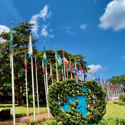 UN Flags