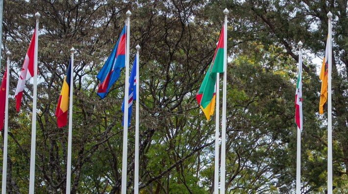 Flags