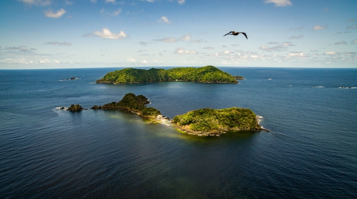 Ilha Goat e a Pequena Tobago com Pássaro, Trinidad e Tobago