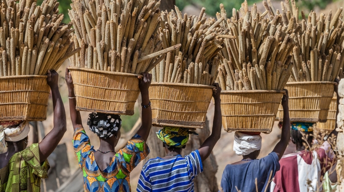 Women carrying baskets of millet on their heads.