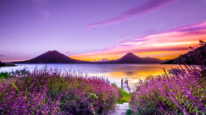 Brown wooden dock between lavender flower field near body of water during golden hour photo. Photo: Unsplash/Mark Harpur