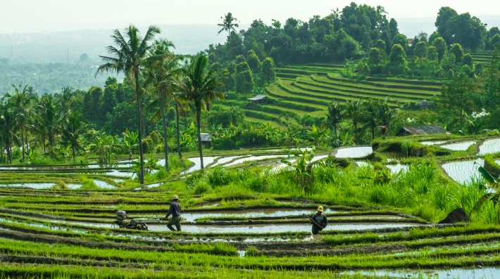 Bali/water