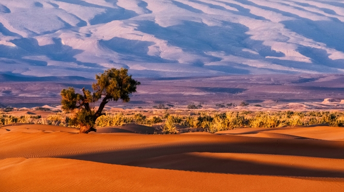 Desert landscape 