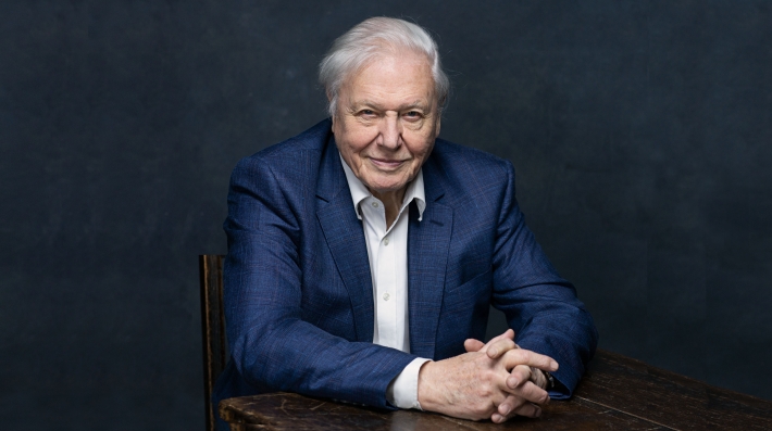 Hababi David Attenborough