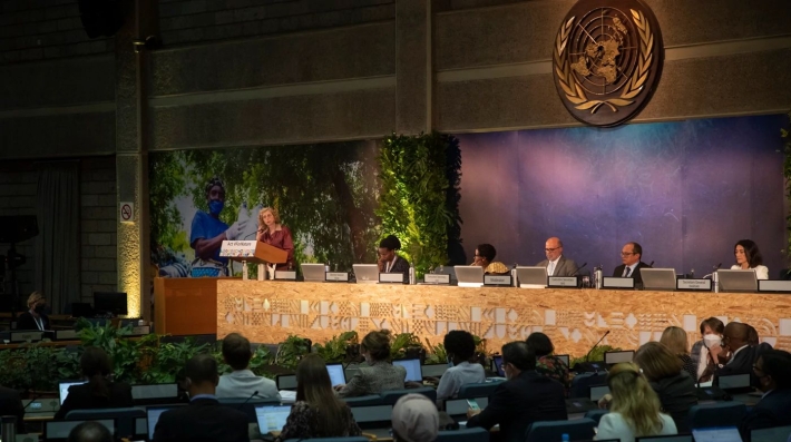 Diálogo de Liderança da UNEA 